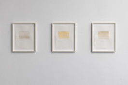 Sally Haftel Naveh