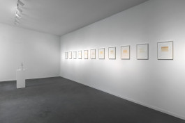 Sally Haftel Naveh