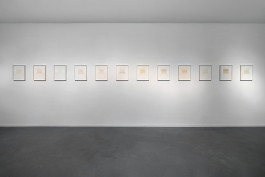 Sally Haftel Naveh