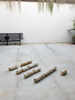 Sally Haftel Naveh