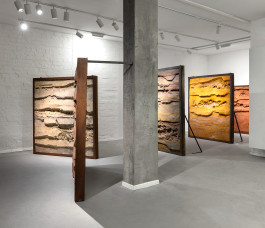 Sally Haftel Naveh