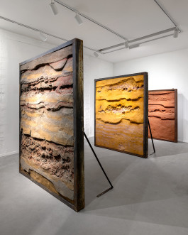 Sally Haftel Naveh