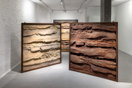 Sally Haftel Naveh